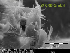REM-Bild Chrysotil-Asbest in Flexplatte | © CRB Analyse Service GmbH