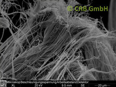 REM-Bild Chrysotil-Asbest in Asbestpappe | © CRB Analyse Service GmbH